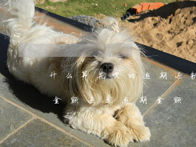 什么算花呗的逾期还款(花呗逾期利息是按总金额还是逾期金额)