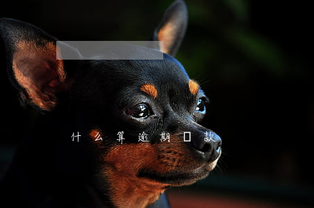 什么算逾期貸款