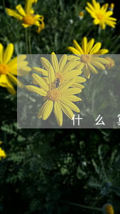 什么算逾期還款 什么算逾期還款方式