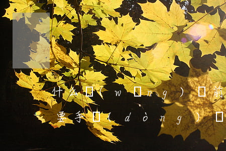 什么網(wǎng)貸前3個(gè)月需要手動(dòng)還款-什么網(wǎng)貸前3個(gè)月需要手動(dòng)還款呢