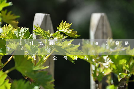 什么網(wǎng)貸是福建的催收-福建催收公司排名