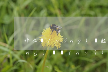 什么網(wǎng)貸起訴多(什么網(wǎng)貸會(huì)起訴)