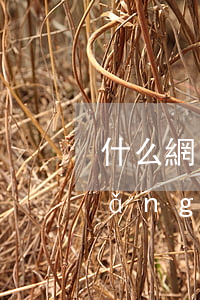 什么網(wǎng)貸逾期中還能借(網(wǎng)貸逾期很久還了還能借嗎)
