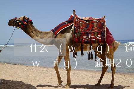 什么網(wǎng)貸逾期要100元(網(wǎng)貸逾期2000塊錢會(huì)立案嗎)