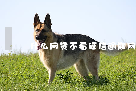 什么网贷不看征信逾期(网贷不看征信的贷款)