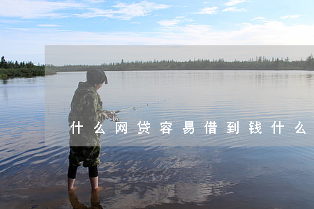什么网贷容易借到钱(什么网贷最容易借到钱)
