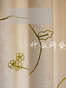 什么网贷是正规平台(什么网贷正规可靠)