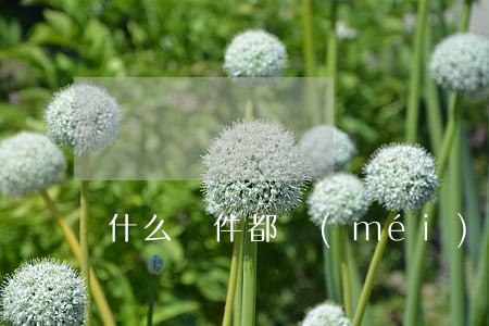 什么證件都沒(méi)有怎么離婚