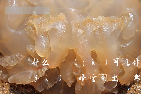 什么證據(jù)可以作為出軌離婚證據(jù)(離婚官司出軌需要什么證據(jù))