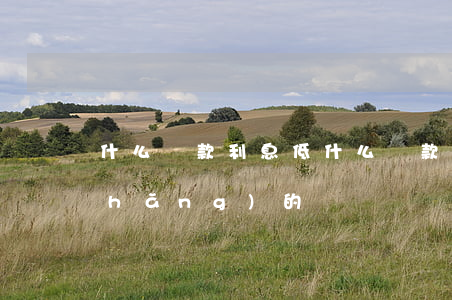 什么貸款利息低(什么貸款利息低分期長(zhǎng)的)