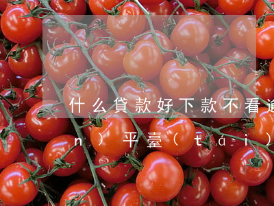 什么貸款好下款不看逾期(逾期借錢(qián)平臺(tái)什么最好下款)