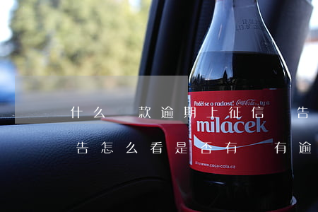 什么貸款逾期上征信報告(貸款有逾期征信報告怎么看是否有沒有逾期)