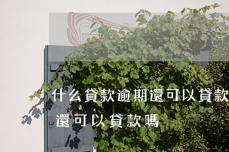 什么貸款逾期還可以貸款(貸款逾期還了以后還可以貸款嗎)