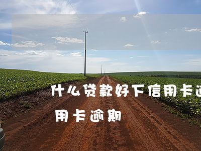 什么贷款好下信用卡逾期的（什么贷款好下信用卡逾期）