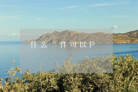什么軟件可以P駕駛證(駕駛證照片可以p嗎)