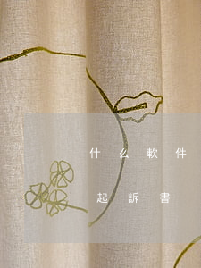 什么軟件可以寫起訴書(手機上用什么軟件寫起訴書)