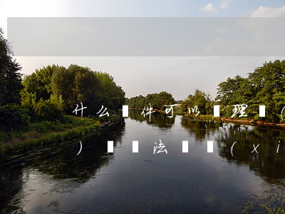 什么軟件可以處理機(jī)動(dòng)車違法嗎(現(xiàn)在處理機(jī)動(dòng)車違法網(wǎng)上可以嗎)