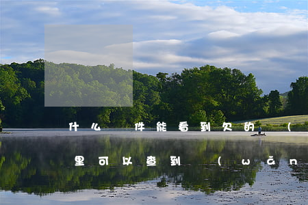 什么軟件能看到欠的網(wǎng)貸(從哪里可以查到網(wǎng)貸有沒有欠款)