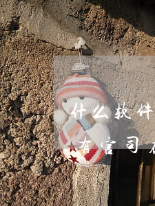 什么软件可以查个人有无官司(查一个人有没有官司在什么网查)