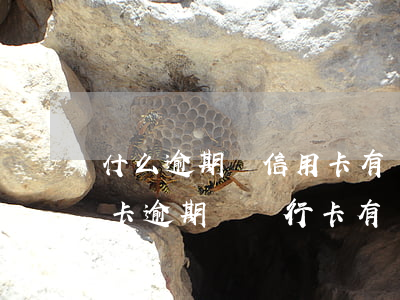 什么逾期對信用卡有關(guān)系(信用卡逾期對銀行卡有沒有影響)