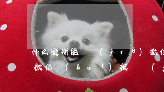 什么逾期能凍結(jié)微信qq(有逾期微信會(huì)被凍結(jié))