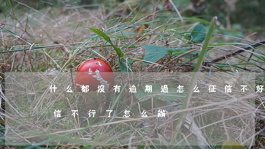 什么都沒有逾期過怎么征信不好（沒有逾期征信不行了怎么辦）