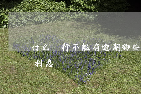 什么銀行不能有逾期(哪些銀行逾期了可以減利息嗎)