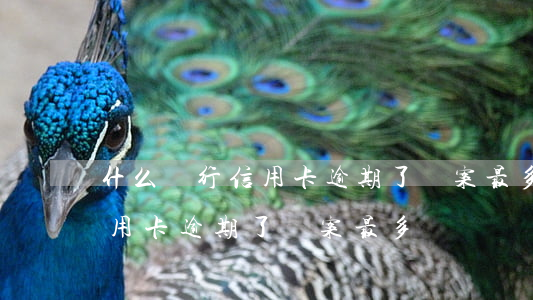 什么銀行信用卡逾期了報案最多(什么銀行信用卡逾期了報案最多)