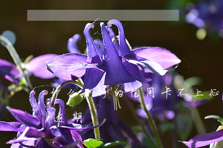 什么銀行的信用卡不上征信（哪些信用卡不能逾期）