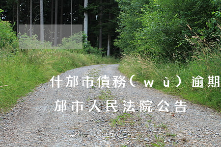什邡市債務(wù)逾期糾紛處理律師-什邡市人民法院公告
