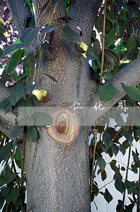 仁化周田交通事故最新