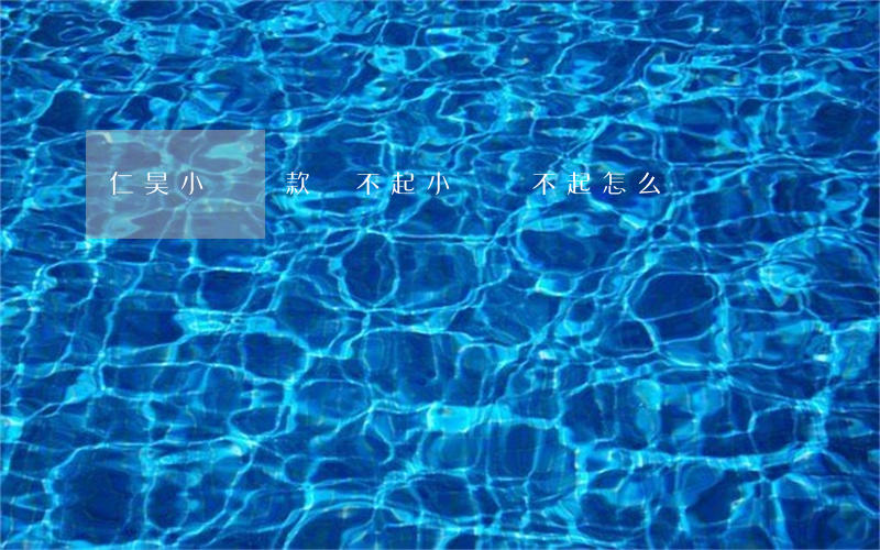 仁昊小貸貸款還不起(小貸還不起怎么辦)