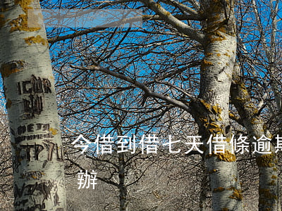 今借到借七天借條逾期 7天借條還不上怎么辦