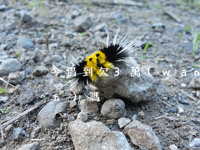 今借到欠3萬(wàn)5逾期上門(mén)嗎