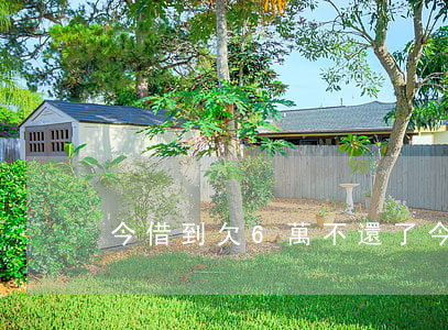 今借到欠6萬不還了(今借到欠6萬不還了)