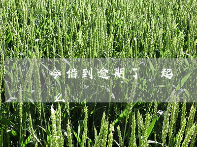 今借到逾期了會起訴嗎-今借到逾期了會怎么樣