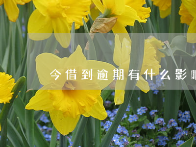 今借到逾期有什么影响（今借到逾期会怎么样）