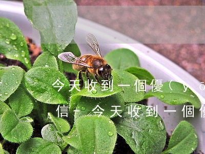 今天收到一個優(yōu)速錢包的逾期短信-今天收到一個優(yōu)速錢包的逾期短信是真的嗎