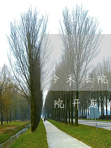 今天法院开庭逾期没去会被拘留吗-今天法院开庭逾期没去会被拘留吗知乎