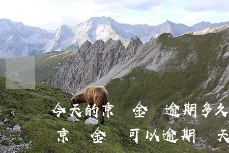 今天的京東金條逾期多久會(huì)上班(京東金條可以逾期幾天會(huì)來(lái)家里找嗎)