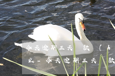 今天逾期三天還款會(huì)有征信記錄么-今天逾期三天還款會(huì)有征信記錄么嗎