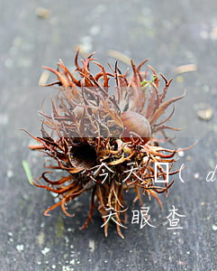 今天達(dá)飛云貸起訴我（飛貸逾期法院天眼查）