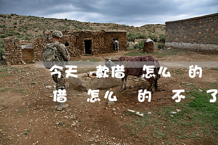 今天還款借唄怎么還的錢不見了-今天還款借唄怎么還的錢不見了呢