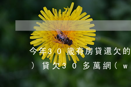 今年30歲有房貸還欠的9萬網(wǎng)貸(欠30多萬網(wǎng)貸怎么還)