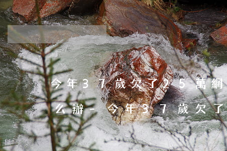 今年37歲欠了25萬網(wǎng)貸怎么辦-今年37歲欠了25萬網(wǎng)貸怎么辦呢