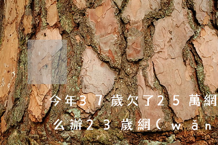 今年37歲欠了25萬網(wǎng)貸怎么辦(23歲網(wǎng)貸欠七八萬怎么辦)