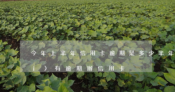今年上半年信用卡逾期是多少(半年內(nèi)有逾期辦信用卡)