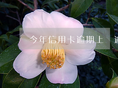 今年信用卡逾期上門(逾期 信用卡)