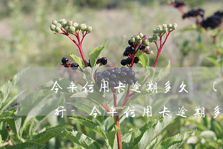今年信用卡逾期多久會(huì)被起訴銀行-今年信用卡逾期多久會(huì)被起訴銀行卡凍結(jié)