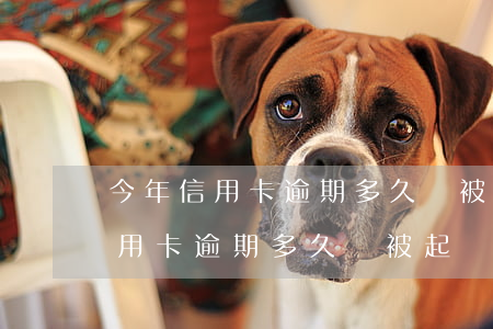 今年信用卡逾期多久會被起訴銀行-今年信用卡逾期多久會被起訴銀行卡凍結(jié)